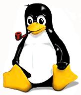 Slackware Linux: Alpha Geeks Only!